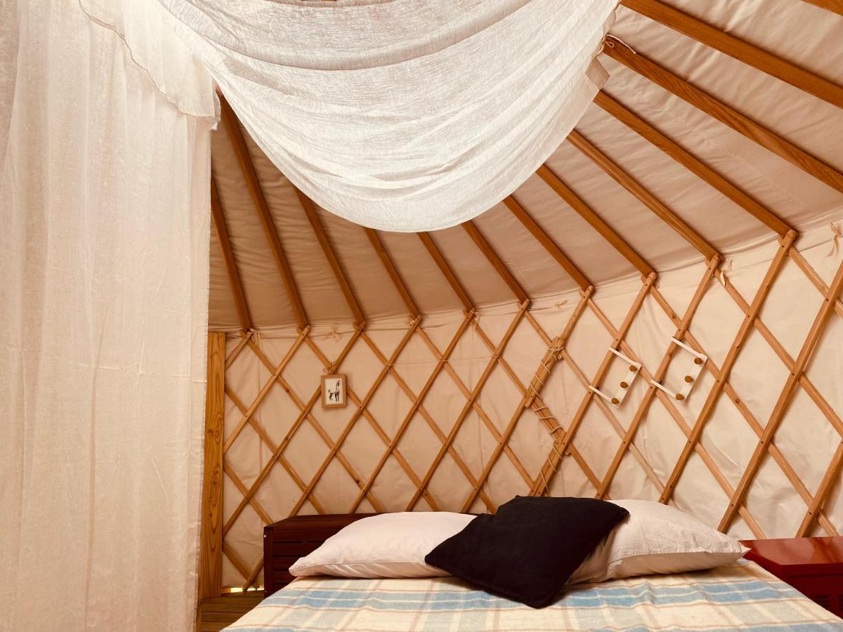 Yourte Et Son Bain Nordique Frechet-Aure Bagian luar foto
